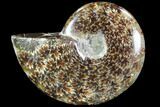 Polished, Agatized Ammonite (Cleoniceras) - Madagascar #88110-1